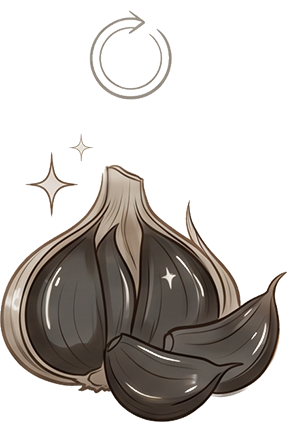 Illustration of the final black garlic product