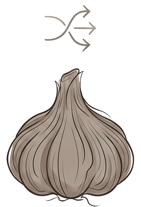 Illustration of transformation during aging
