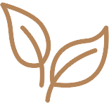 Immunity icon